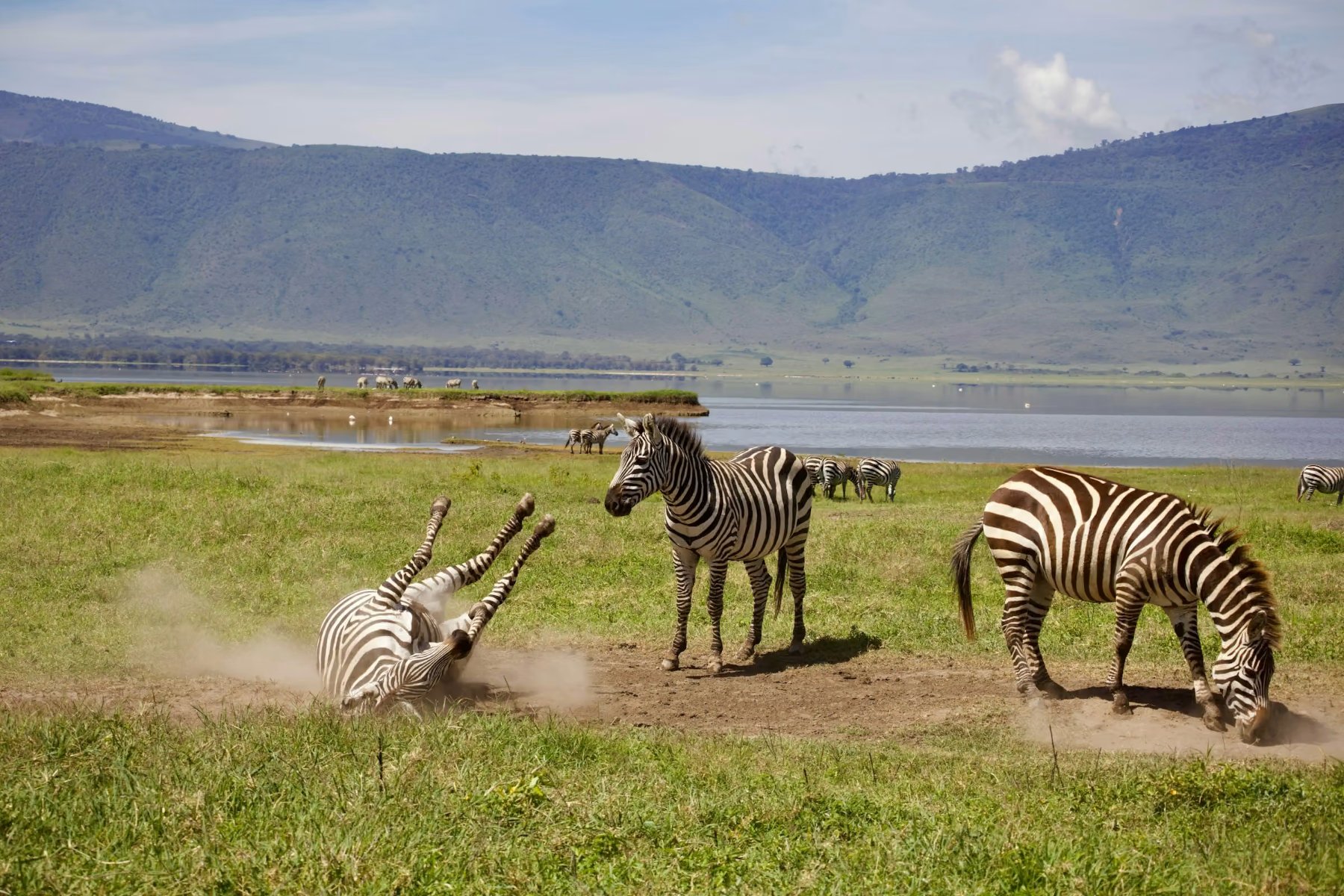 Serengeti