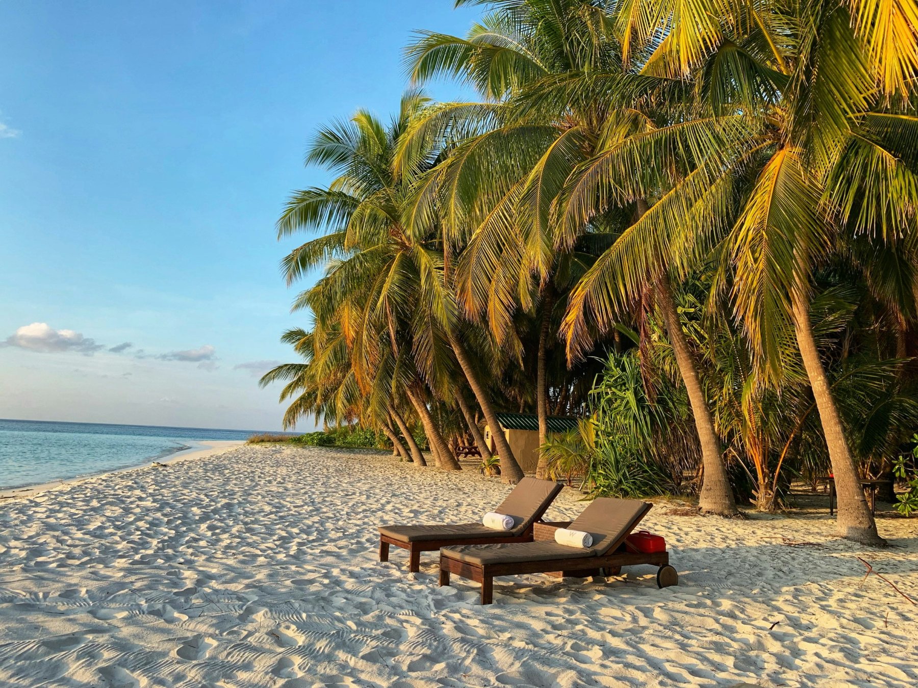 Safari & Beach Holidays