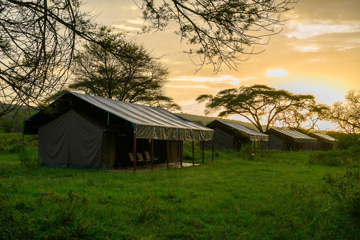 Kopje View Tented Camp