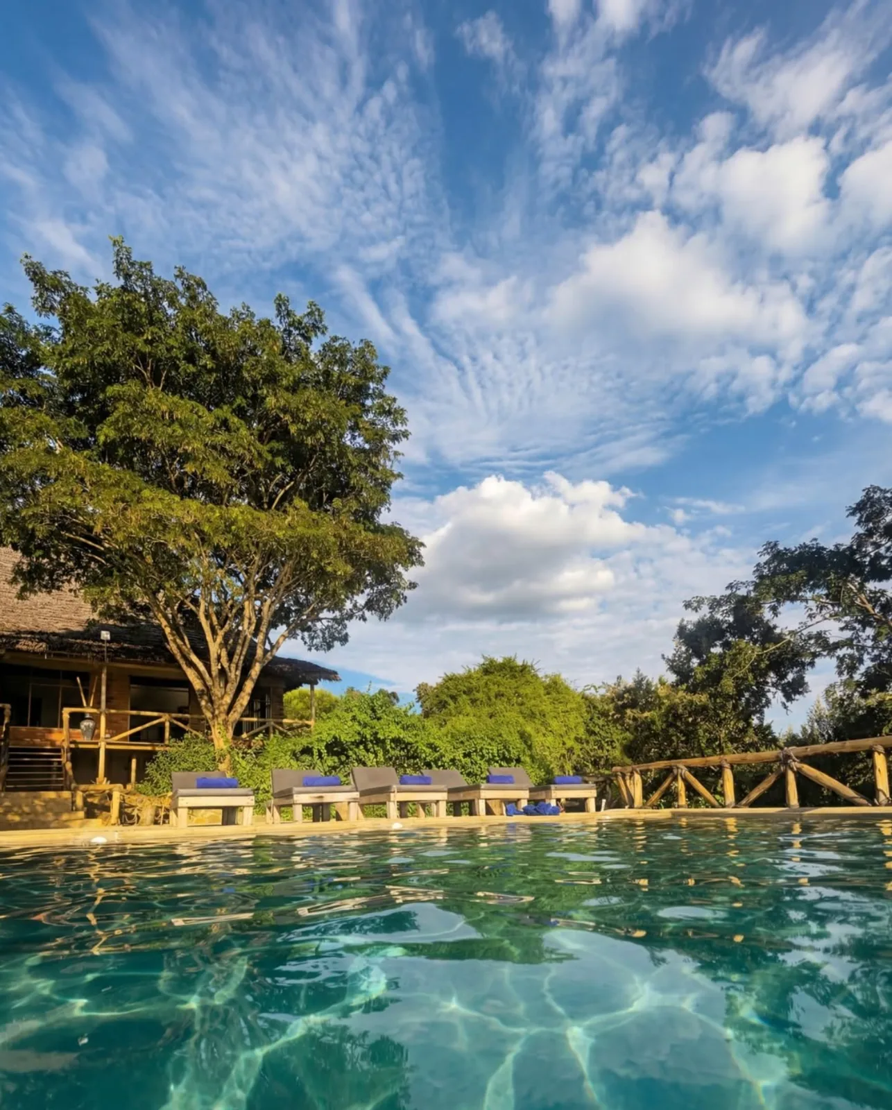 Mamadunia Safarai Lodge photo 4