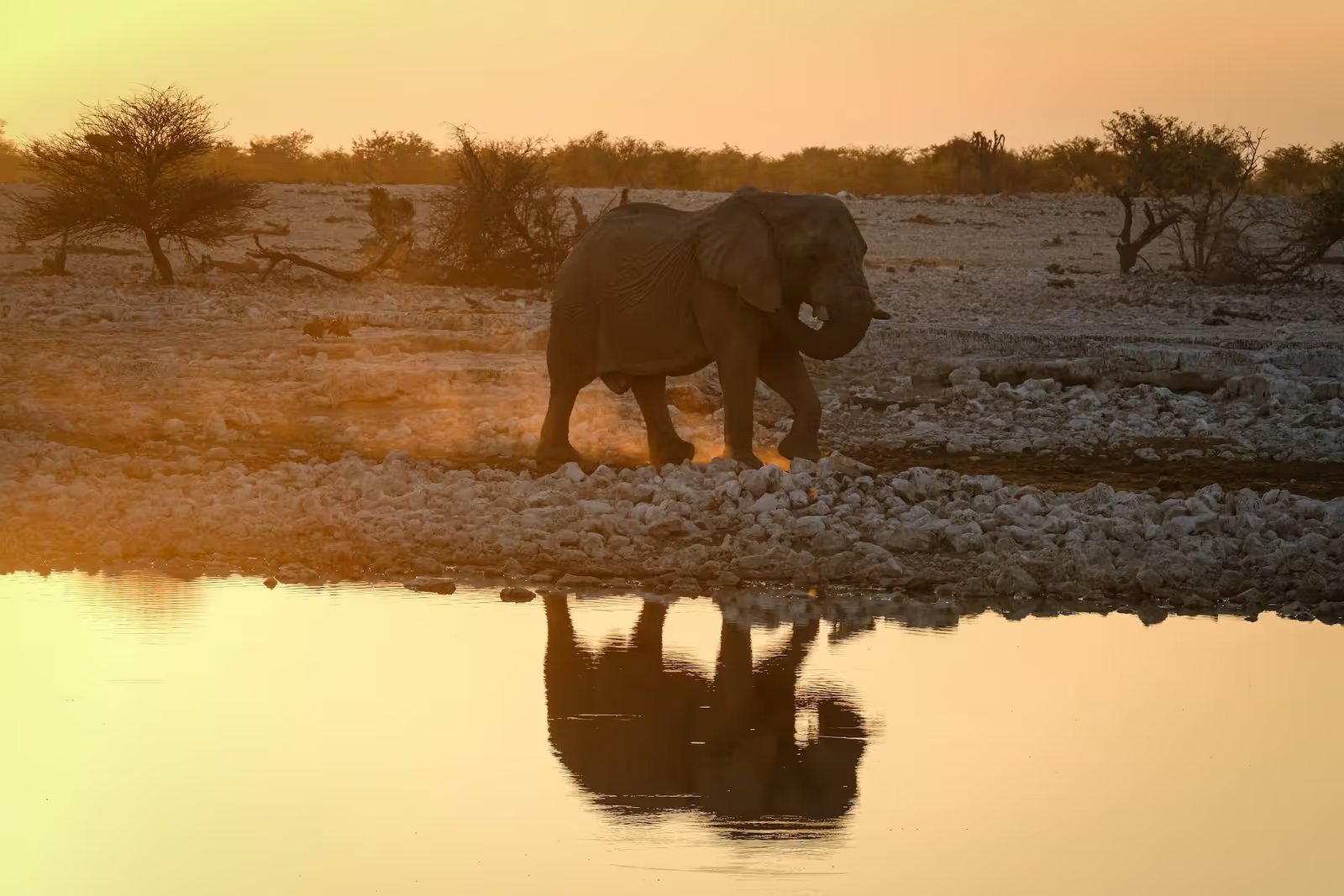Serengeti & Ngorongoro Classic