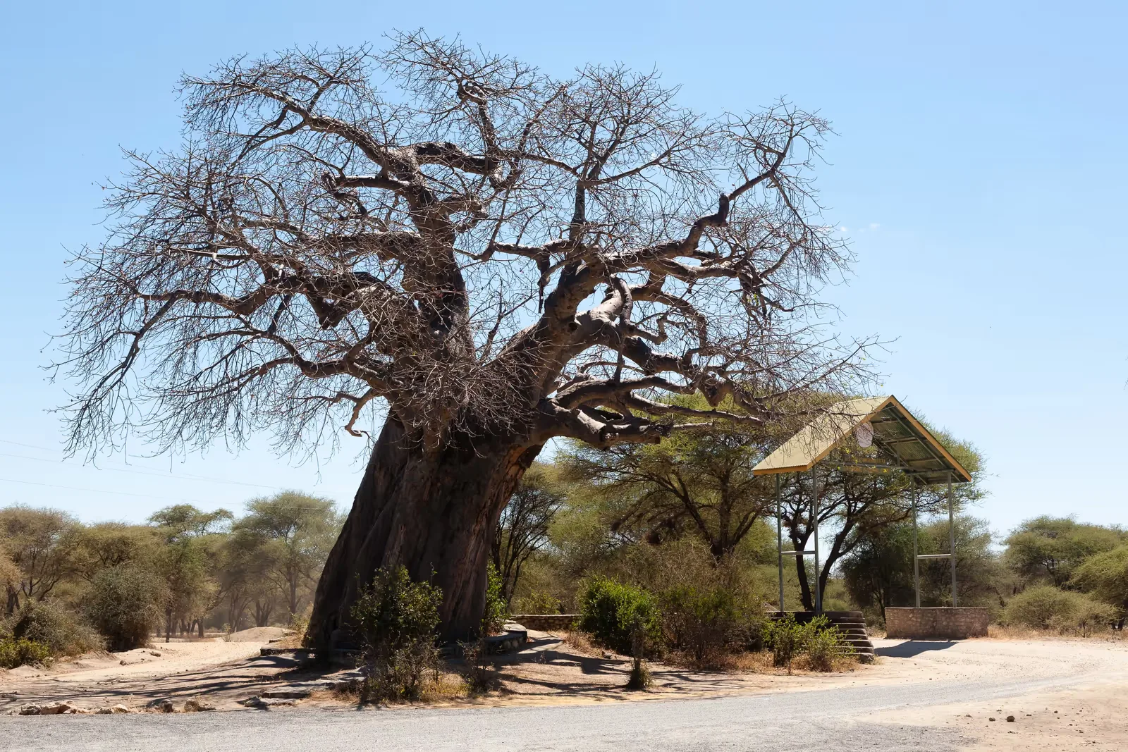 Serengeti & Ngorongoro Classic photo 4